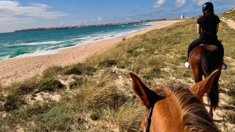 Ein besonderes Naturerlebnis für Pferdeliebhaber: Reiten am Strand von Peniche in der Dünenlandschaft
